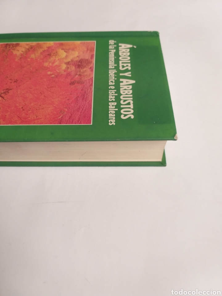 Libros de segunda mano: &Aacute;rboles y arbustos de la Pen&iacute;nsula Ib&eacute;rica e Islas Baleares - Foto 6
