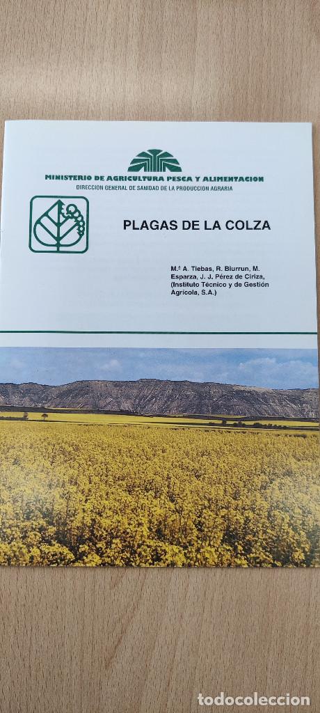 Libros de segunda mano: Folleto. Plagas de la colza.1994 - Foto 1
