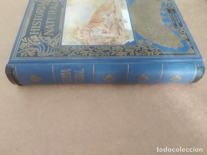 Libros de segunda mano: Historia Natural Popular. &Aacute;ngel Cabrera. - Foto 2