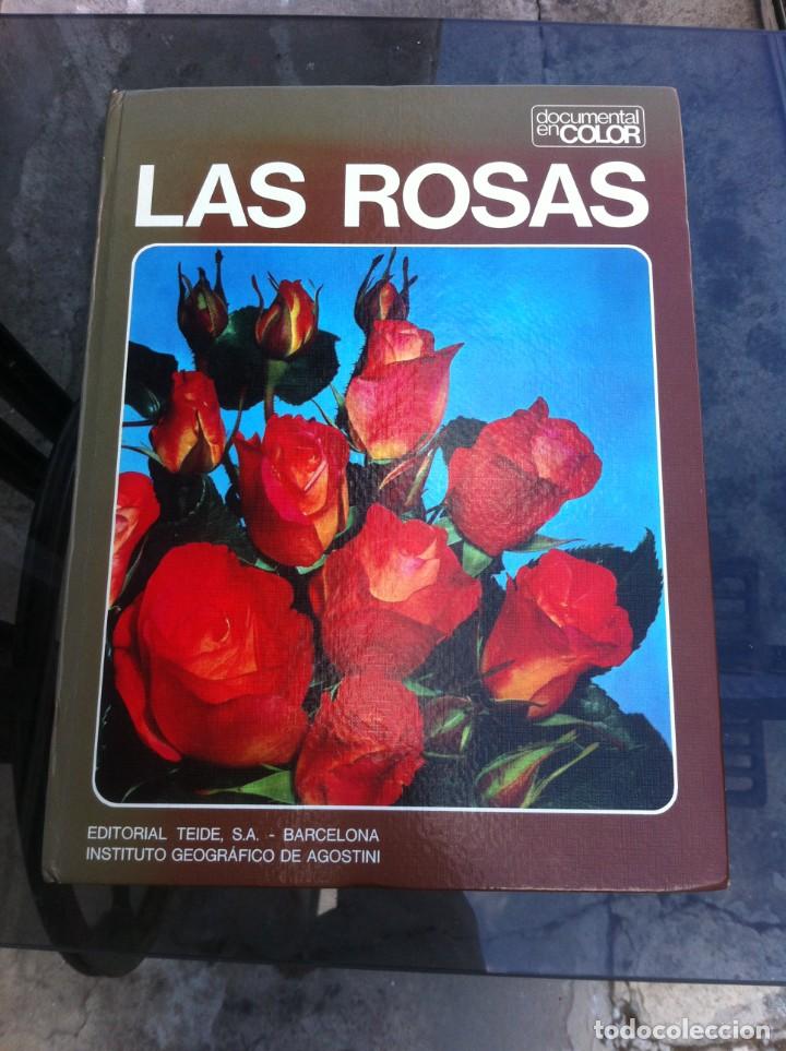 Libros de segunda mano: CLAUDIA BINELLI. LAS ROSAS. ED. TEIDE, 1973 - Foto 1