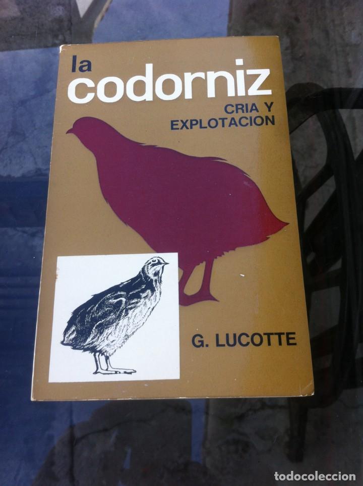 Libros de segunda mano: G. LUCOTTE. LA CODORNIZ, CR&Iacute;A Y EXPLOTACI&Oacute;N. 1976 - Foto 1