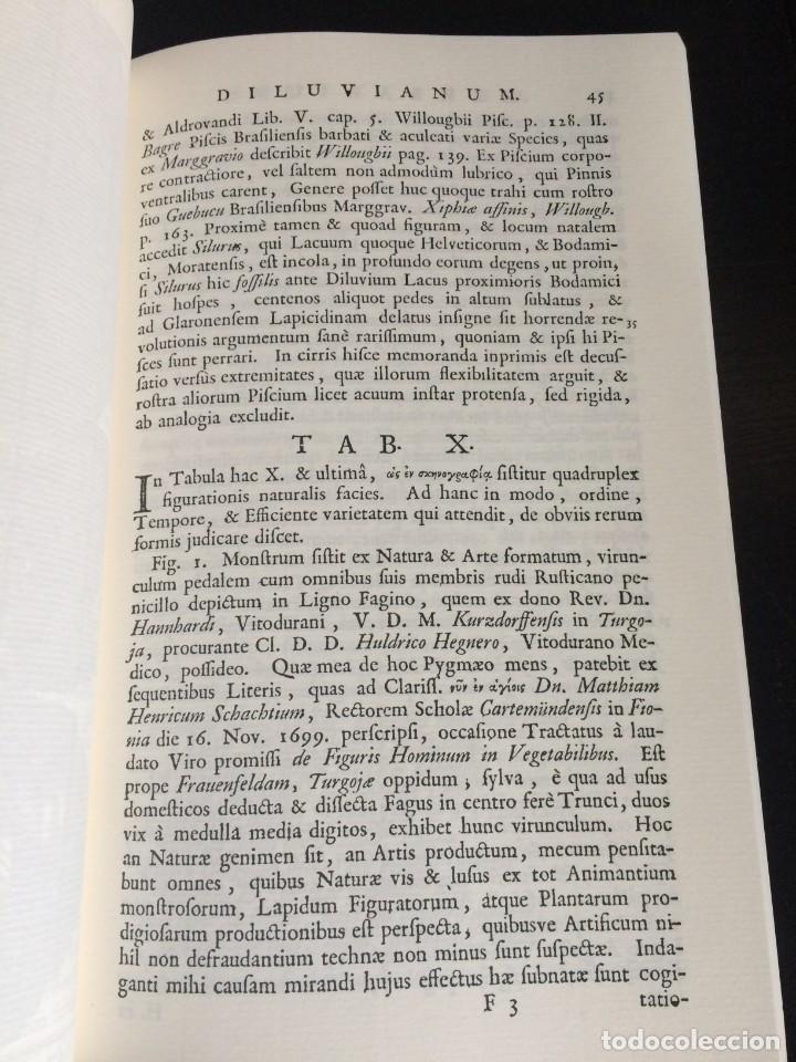 Libros de segunda mano: Herbarium diluvianum collectum (Bot&aacute;nica).Scheuchzero, Johanne Jacobo. - Foto 26