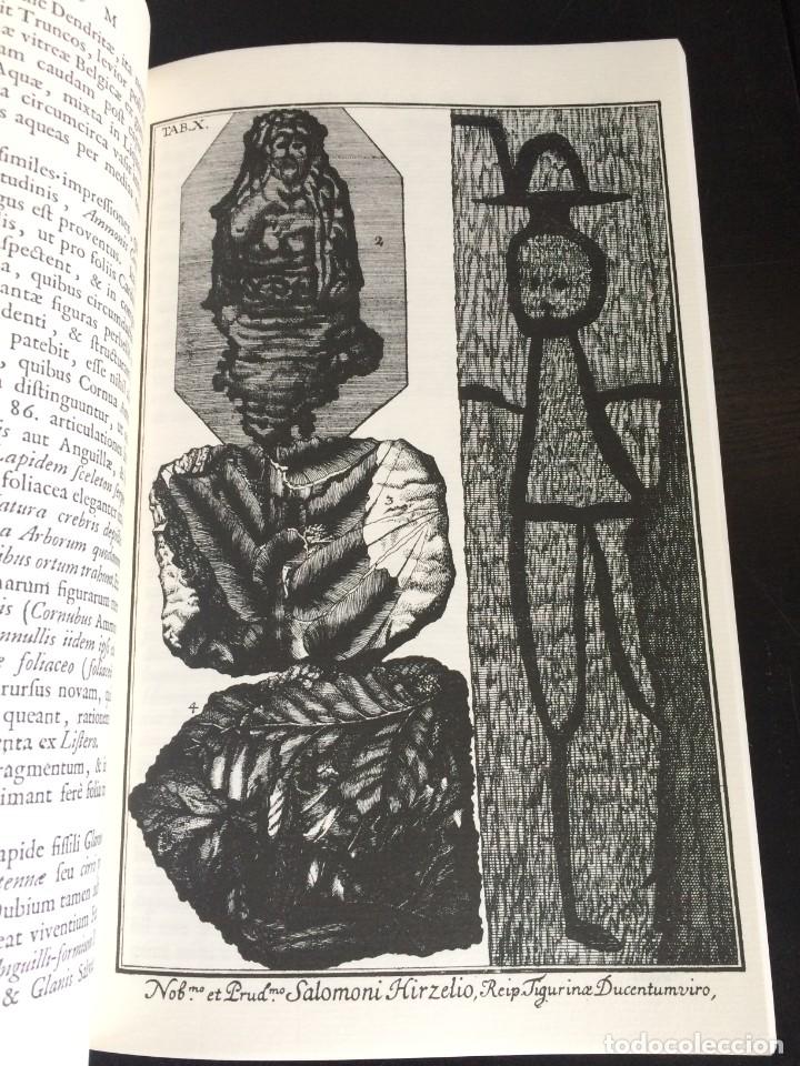 Libros de segunda mano: Herbarium diluvianum collectum (Bot&aacute;nica).Scheuchzero, Johanne Jacobo. - Foto 27