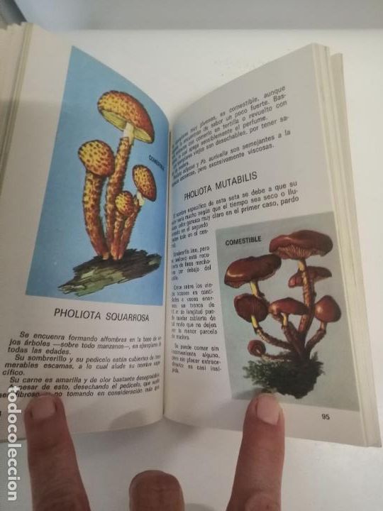 Libros de segunda mano: SETAS COMESTIBLES Y VENENOSAS (PIERRE MONTARNAL) - Foto 6
