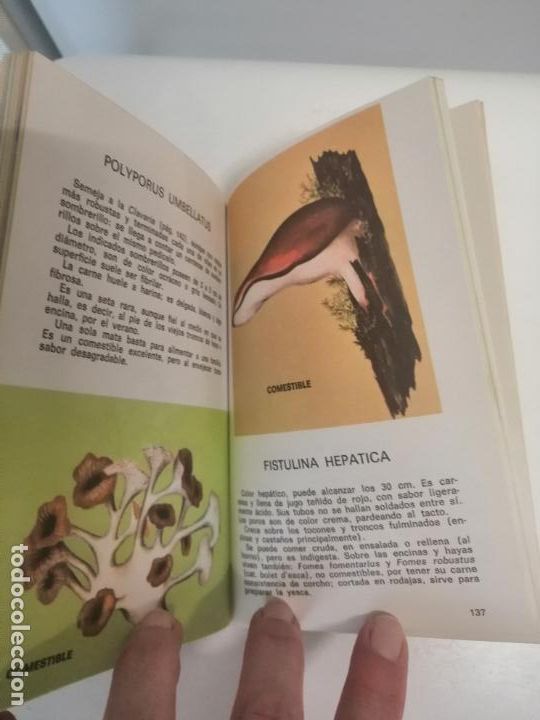 Libros de segunda mano: SETAS COMESTIBLES Y VENENOSAS (PIERRE MONTARNAL) - Foto 7