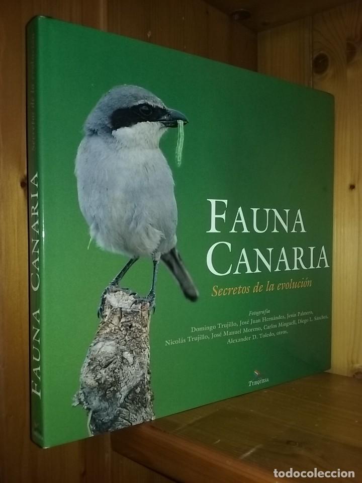 Second hand books: FAUNA CANARIA, SECRETOS DE LA EVOLUCION, TURQUESA, 2003