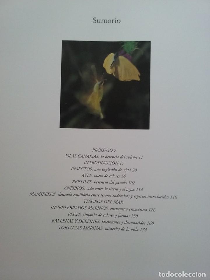 Libros de segunda mano: FAUNA CANARIA, SECRETOS DE LA EVOLUCION, TURQUESA, 2003 - Foto 2