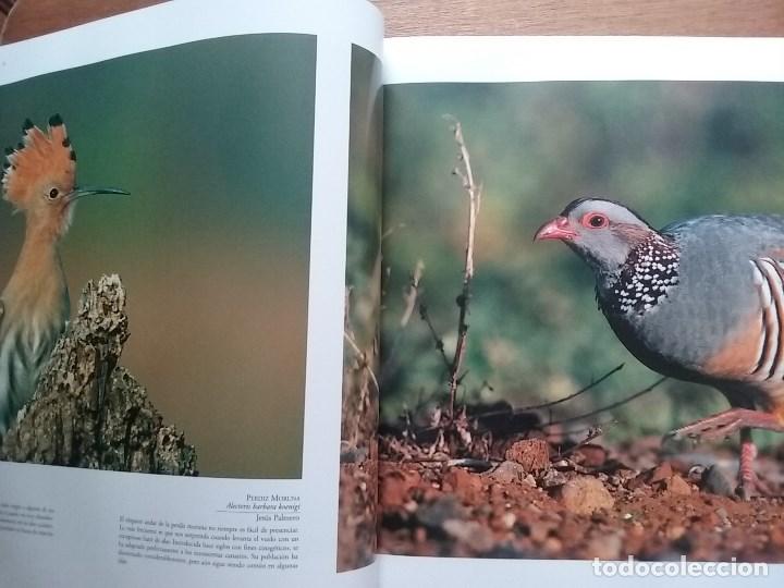 Libros de segunda mano: FAUNA CANARIA, SECRETOS DE LA EVOLUCION, TURQUESA, 2003 - Foto 4