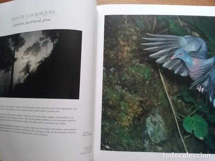 Libros de segunda mano: FAUNA CANARIA, SECRETOS DE LA EVOLUCION, TURQUESA, 2003 - Foto 5