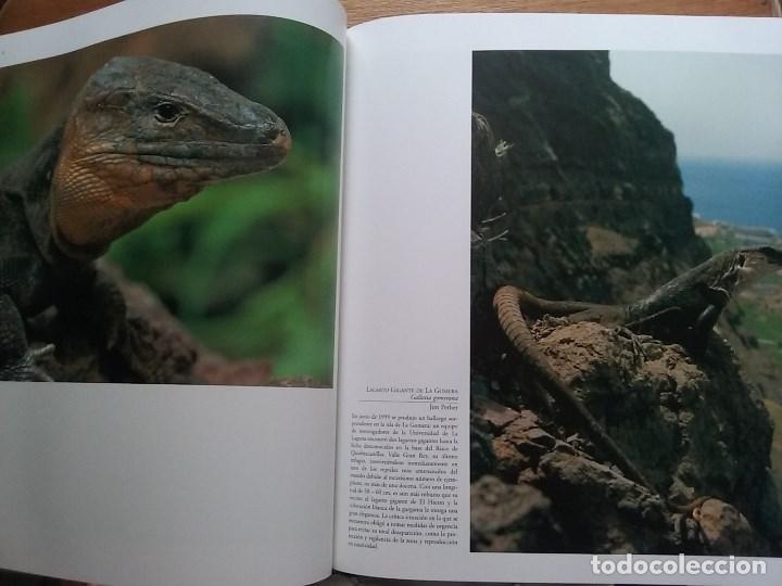 Libros de segunda mano: FAUNA CANARIA, SECRETOS DE LA EVOLUCION, TURQUESA, 2003 - Foto 6