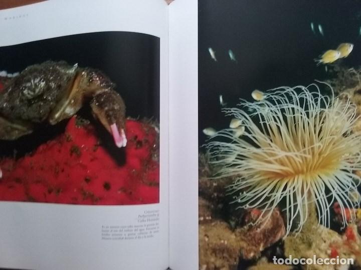 Libros de segunda mano: FAUNA CANARIA, SECRETOS DE LA EVOLUCION, TURQUESA, 2003 - Foto 7