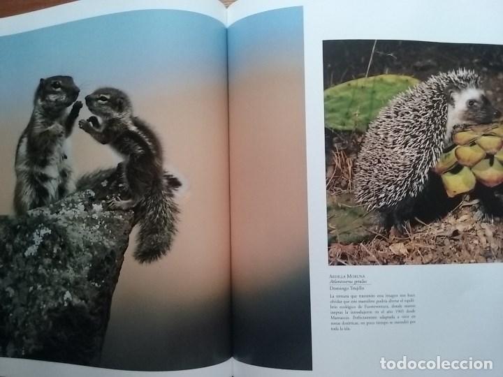 Libros de segunda mano: FAUNA CANARIA, SECRETOS DE LA EVOLUCION, TURQUESA, 2003 - Foto 8