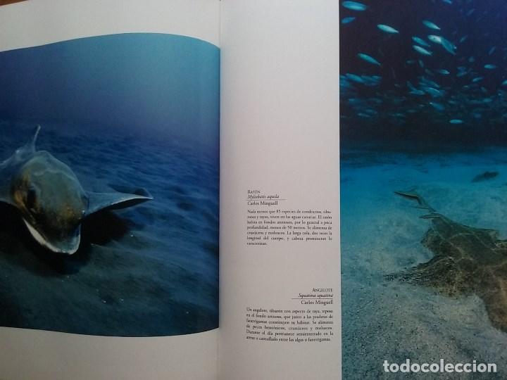 Libros de segunda mano: FAUNA CANARIA, SECRETOS DE LA EVOLUCION, TURQUESA, 2003 - Foto 9