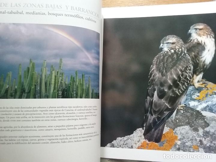 Libros de segunda mano: FAUNA CANARIA, SECRETOS DE LA EVOLUCION, TURQUESA, 2003 - Foto 11