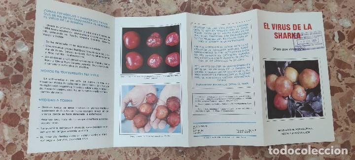 Libros de segunda mano: Cuadr&iacute;pdico el virus de la Sharka (Plum pox virus PPV).1984 - Foto 3