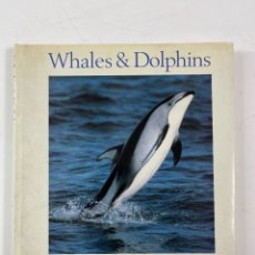 Libros de segunda mano: L-5704. WHALES AND DOLPHINS, VIC COX. CRESCENT BOOKS, NEW YORK, 1989.