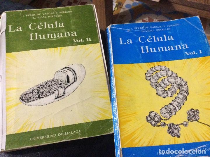 Gebrauchte B&uuml;cher: LA CELULA HUMANA VOLMS I Y II - IGNACIO PEREZ DE VARGAS Y FERRONI / LOURDES VIDAL MIRALLES