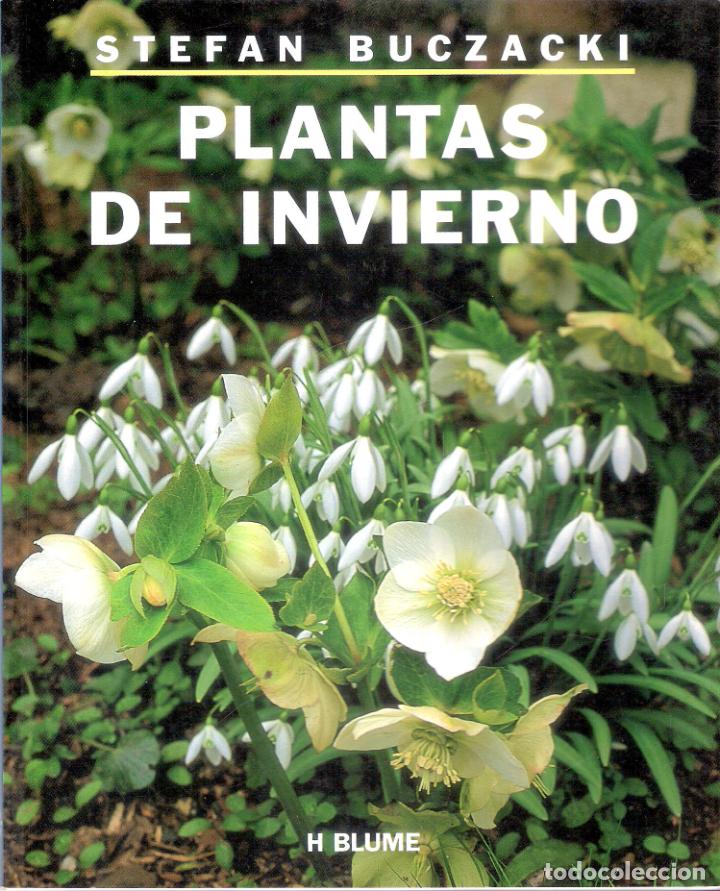 Libros de segunda mano: PLANTAS DE INVIERNO - STEFAN BUCZACKI - Foto 1