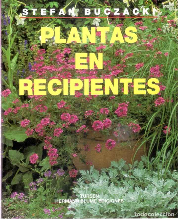 Libros de segunda mano: PLANTAS EN RECIPIENTE - STEFAN BUCZACKI - Foto 1