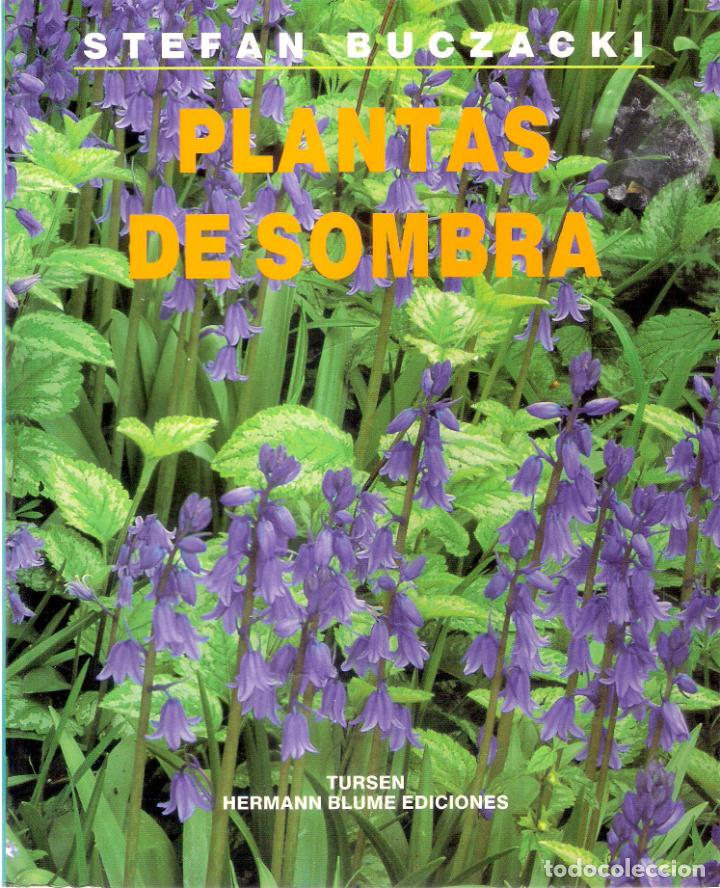 Libros de segunda mano: PLANTAS DE SOMBRA - STEFAN BUCZACKI - Foto 1