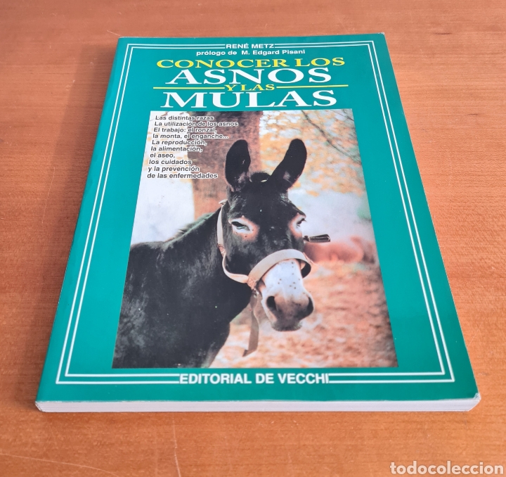 Libros de segunda mano: Conocer los Asnos y las Mulas - Ren&eacute; Metz - Foto 2