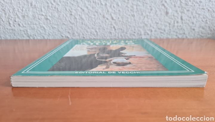 Libros de segunda mano: Conocer los Asnos y las Mulas - Ren&eacute; Metz - Foto 3
