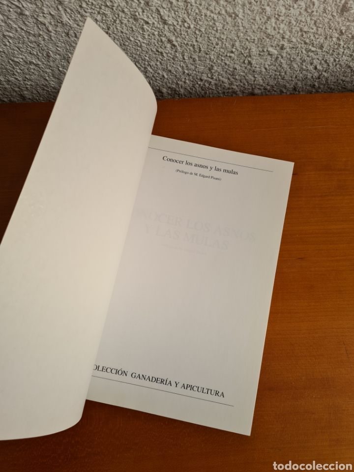 Libros de segunda mano: Conocer los Asnos y las Mulas - Ren&eacute; Metz - Foto 10