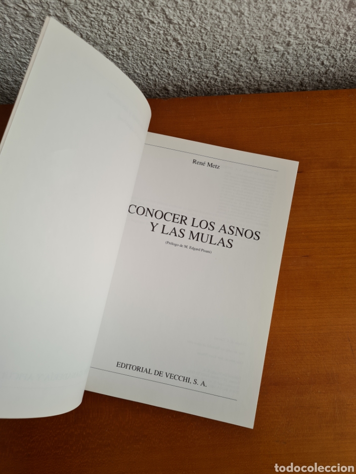 Libros de segunda mano: Conocer los Asnos y las Mulas - Ren&eacute; Metz - Foto 11