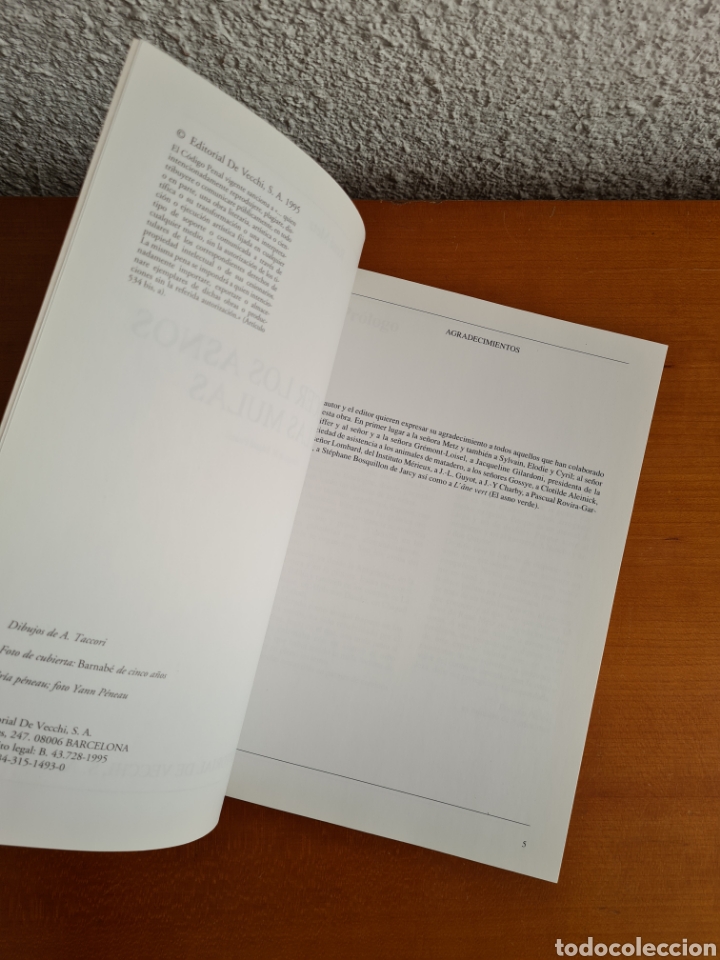 Libros de segunda mano: Conocer los Asnos y las Mulas - Ren&eacute; Metz - Foto 12