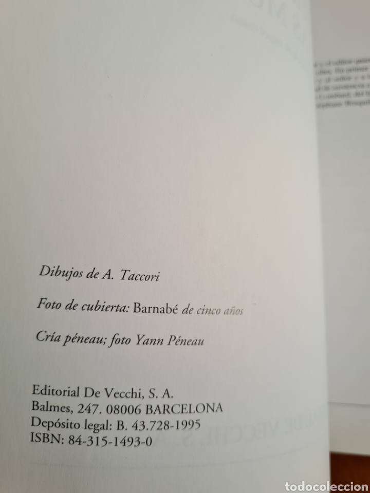 Libros de segunda mano: Conocer los Asnos y las Mulas - Ren&eacute; Metz - Foto 13