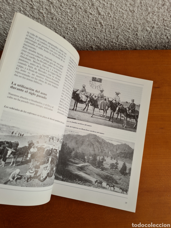 Libros de segunda mano: Conocer los Asnos y las Mulas - Ren&eacute; Metz - Foto 18