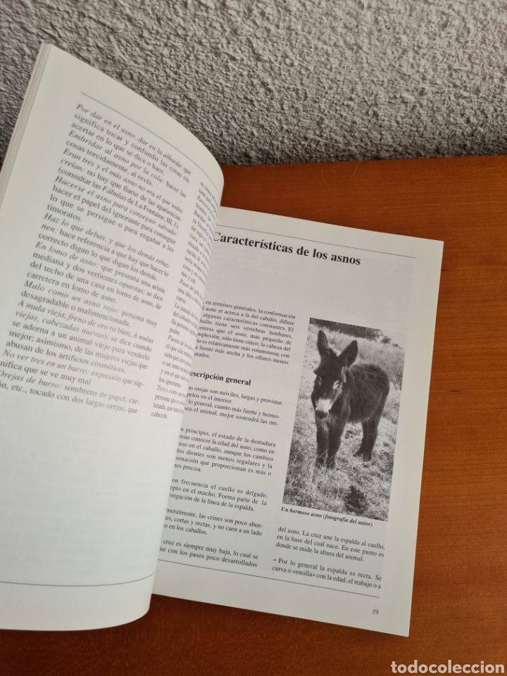 Libros de segunda mano: Conocer los Asnos y las Mulas - Ren&eacute; Metz - Foto 20