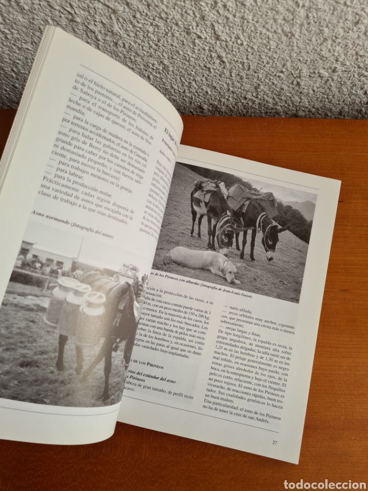 Libros de segunda mano: Conocer los Asnos y las Mulas - Ren&eacute; Metz - Foto 21