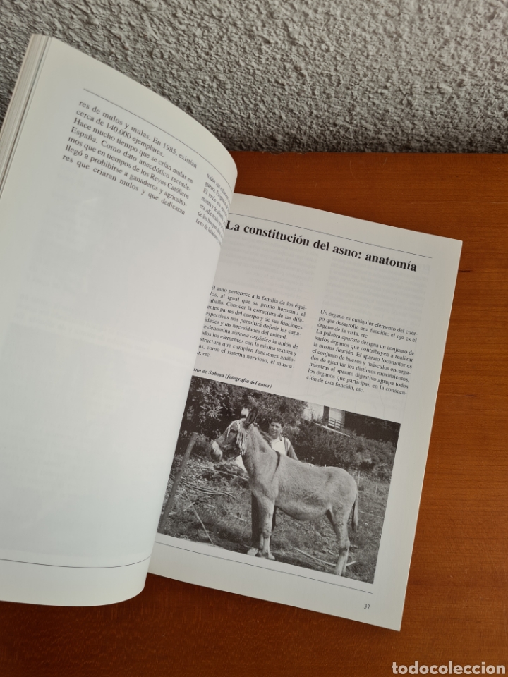 Libros de segunda mano: Conocer los Asnos y las Mulas - Ren&eacute; Metz - Foto 24