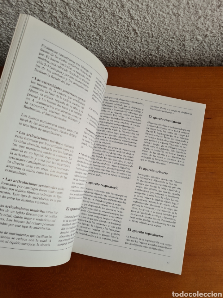 Libros de segunda mano: Conocer los Asnos y las Mulas - Ren&eacute; Metz - Foto 25