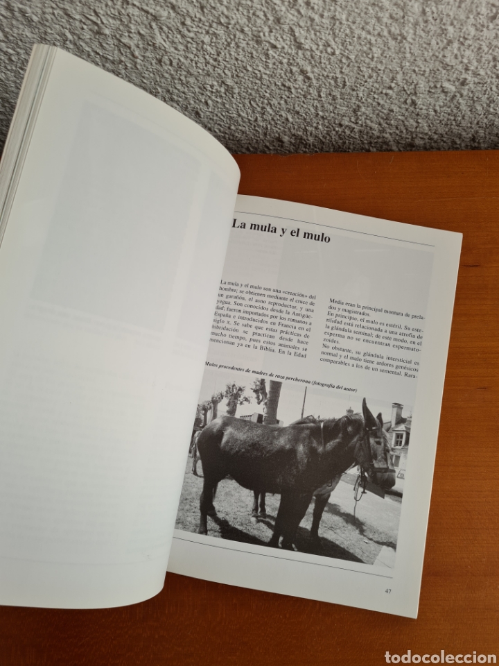 Libros de segunda mano: Conocer los Asnos y las Mulas - Ren&eacute; Metz - Foto 26