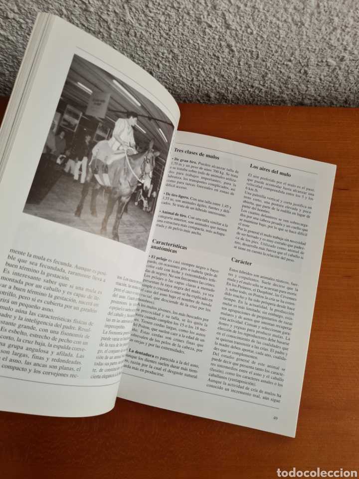 Libros de segunda mano: Conocer los Asnos y las Mulas - Ren&eacute; Metz - Foto 27