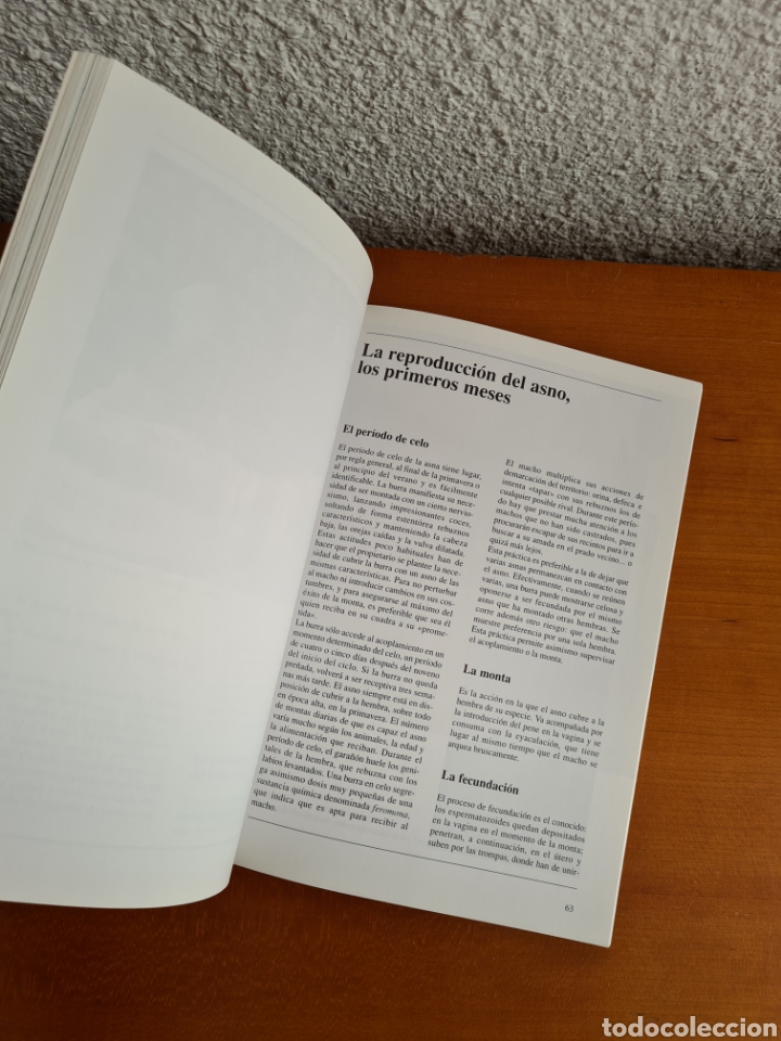 Libros de segunda mano: Conocer los Asnos y las Mulas - Ren&eacute; Metz - Foto 29