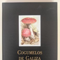 Libros de segunda mano: 2006 COGUMELOS DE GALIZA - MARISA CASTRO - VICTOR LOPEZ - CARLOS SILVAR A NOSA TERRA - SETAS HONGOS. Lote 277170873