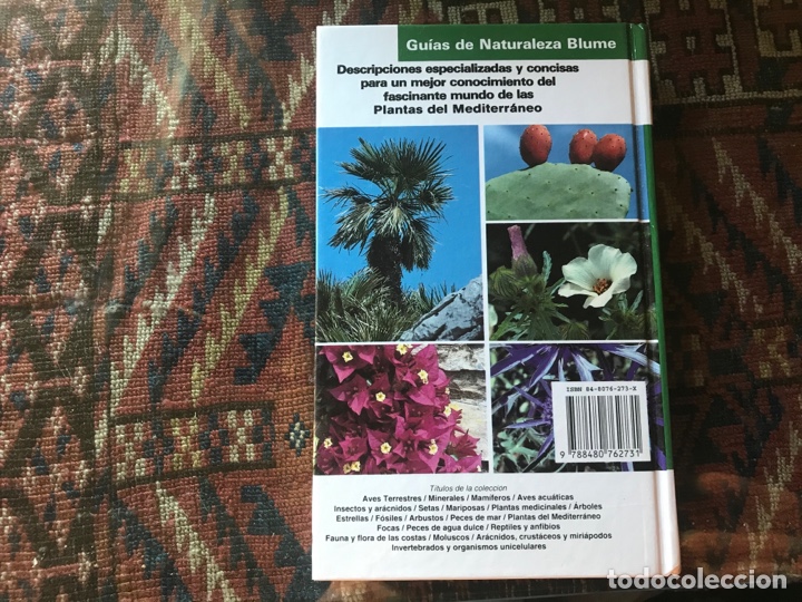 Libros de segunda mano: Plantas del Mediterr&aacute;neo. Blume - Foto 3
