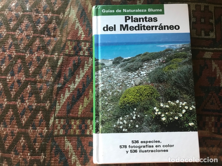 Libros de segunda mano: Plantas del Mediterr&aacute;neo. Blume - Foto 1