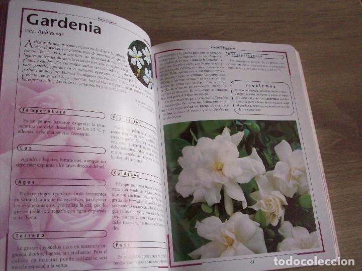 Libros de segunda mano: flores de jardin susaeta - Foto 2