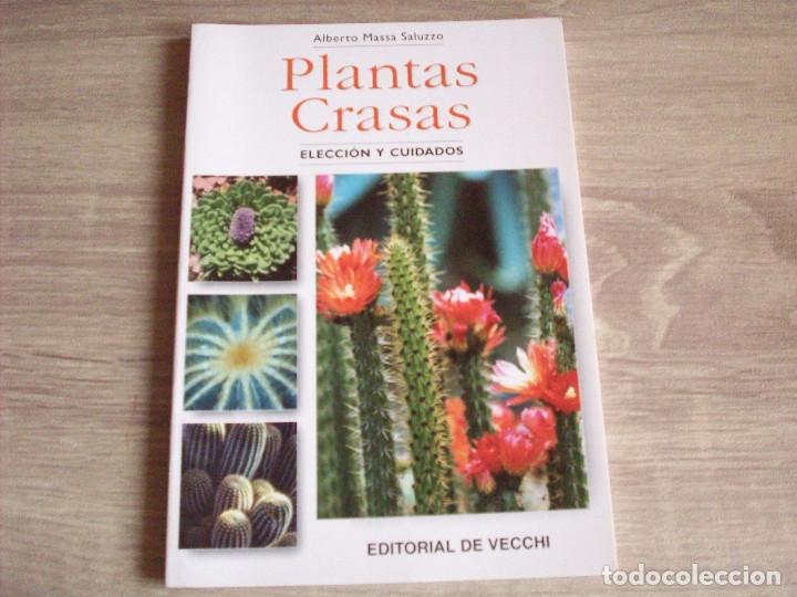 Libros de segunda mano: plantas crasas editorial de vecchi - Foto 1