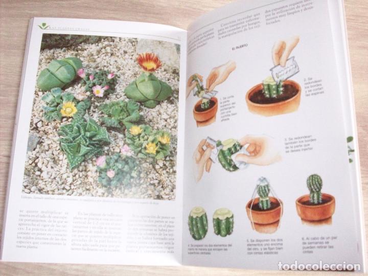 Libros de segunda mano: plantas crasas editorial de vecchi - Foto 2