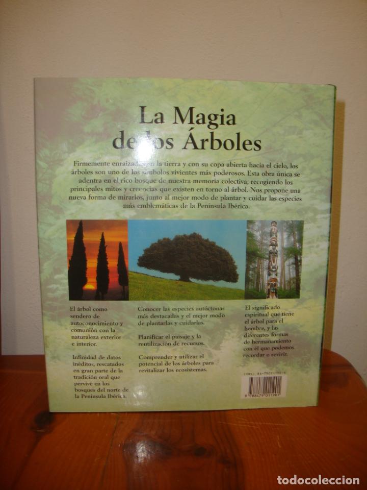 La Magia De Los árboles Simbolismo Mitos Y Tr Comprar Libros De