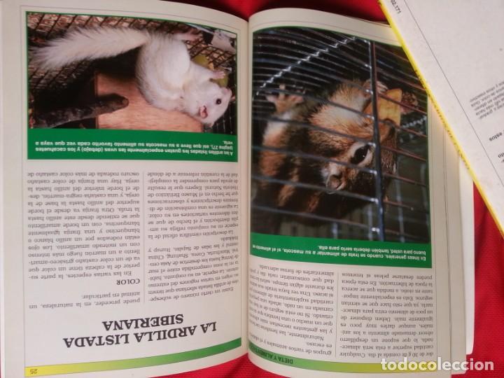 Libros de segunda mano: MANUAL PRACTICO DE LA ARDILLA - CHRIS HENWOOD - Foto 2