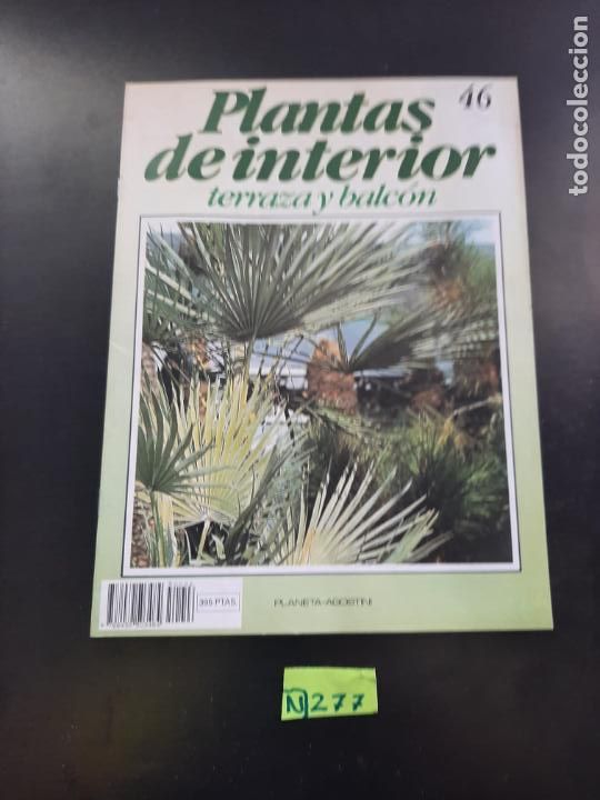 Libros de segunda mano: Plantas de interior - Foto 1