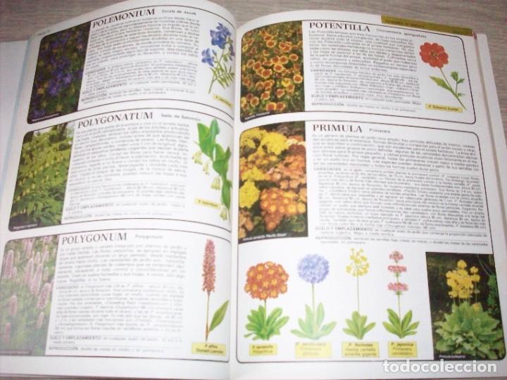 Libros de segunda mano: flores de jardin hessayon - Foto 2