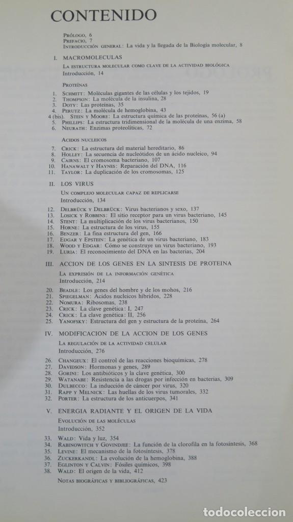 Libros de segunda mano: LA BASE MOLECULAR DE LA VIDA. INTRODUCCI&Oacute;N A LA BIOLOG&Iacute;A MOLECULAR. BLUME - Foto 2