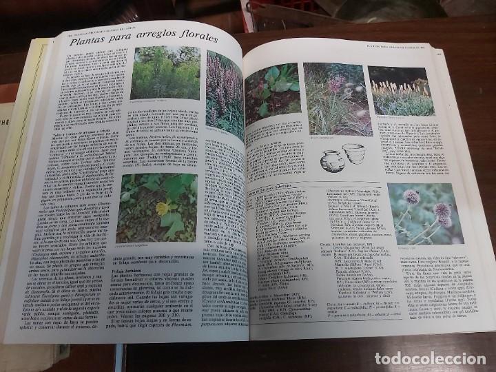 Libros de segunda mano: GUIA PR&Aacute;CTICA ILUSTRADA PARA EL JARD&Iacute;N 2. EDITORIAL BLUME. - Foto 7